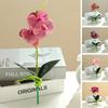 Artificial Orchid Non-fading Decorate Long-lasting Practical No Watering Fake Phalaenopsis for Balcony