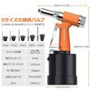Proster Air Riveter, Pneumatic Rivet Gun, 2.4/3.2/4.0/4.8/6.4mm Nosepiece, Includes 500 Rivets