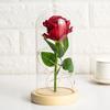 Yousheng Artificial Rose Flowers Eternal Rose with LED Light Realistic Looking Battery Powered Simulation Rose Flower Holiday Gifts