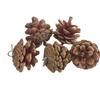 Parrot Pine Cone Chew Toy for Bird Boredom Relief
