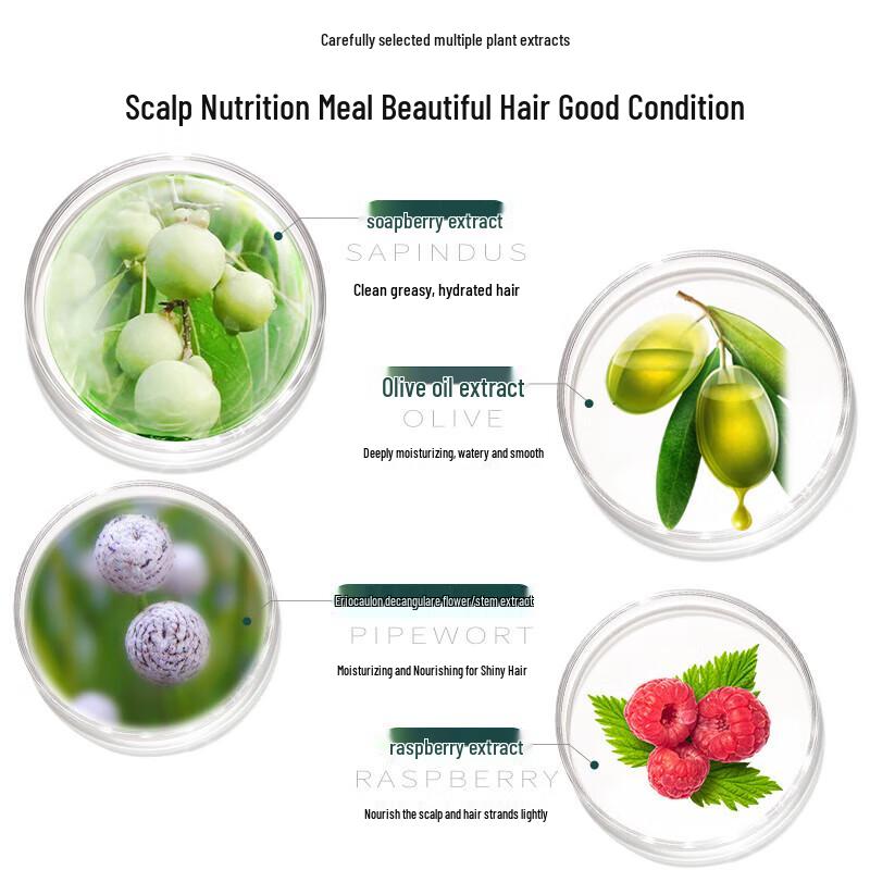 Ziyuan Sapindus Moisturizing & Nourishing Shampoo for Normal to Dry Scalp, 535ml