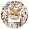 50 шт. Новые Милые Кошачьи Мемы Наклейки на Мотоциклетный Шлем Прекрасные Кошки Водонепроницаемая Наклейка на Задний Багажник Наклейка-Защита от Царапин на Кузов Мотоцикла