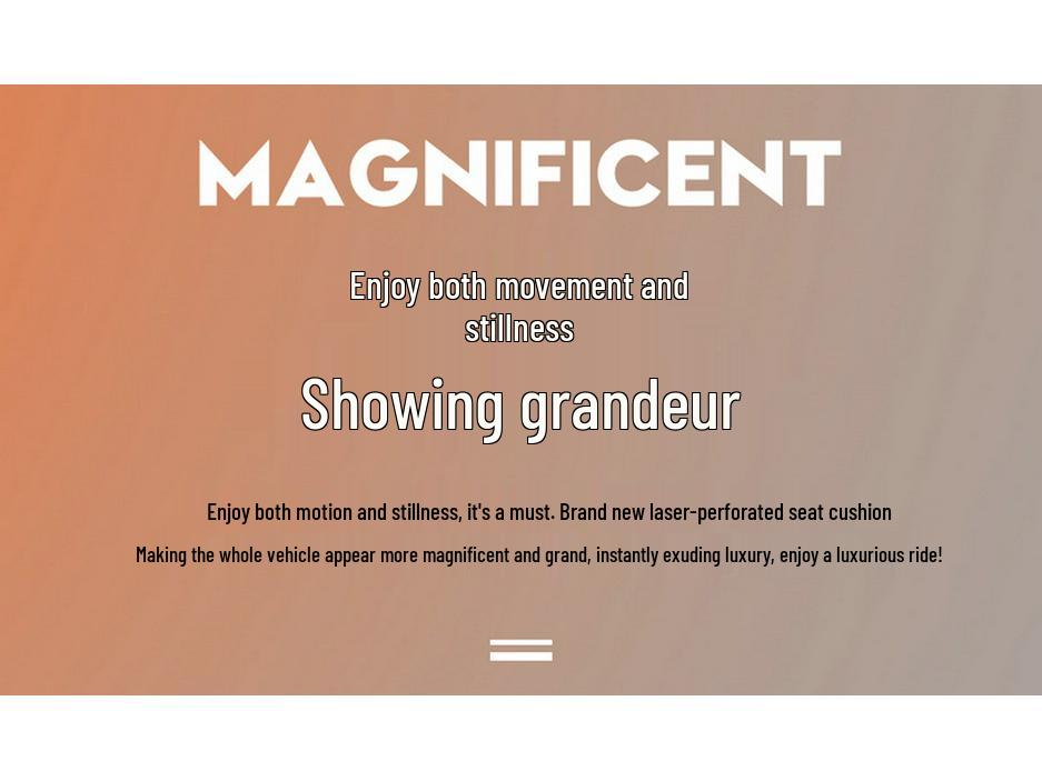 2022 Facelifted TNGA 1.5L CVT LEVIN Leather Car Seat Covers