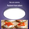 Philips LED Ceiling Light Core Module