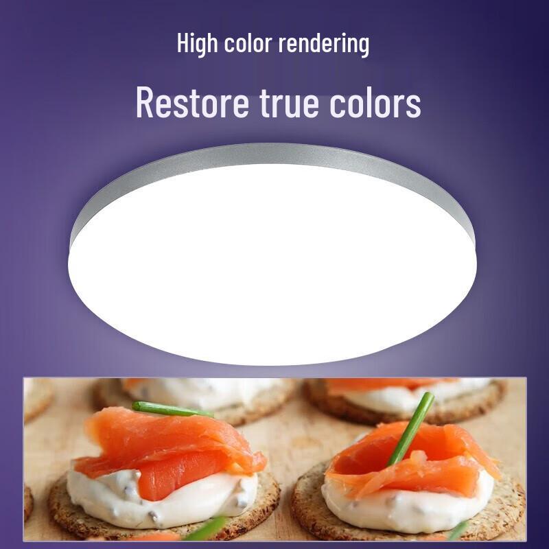 Philips LED Ceiling Light Core Module