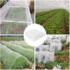 TG71978 NET SUPPORT FOR CLIMBING PLANTS LADDER SUPPORT 0.9x2.7M