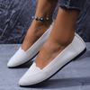 Women Flats Women Solid Slip Designer Casual Breathable Mesh Shoes Women Loafers Comfortable Shoes 2025 Pointed Toe Flat Shoes