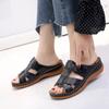 Summer Footwear Women's Shoes Plus Size Comfortable Sandals Retro Platform Slippers Women's Sandals