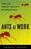 Книга Ants At Work : How An Insect Society Is Organized