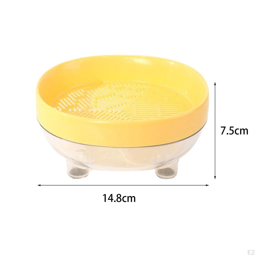 Cat Grass Box Seed Tray Easy To Plant Growing Planter Catnip Cultivation for