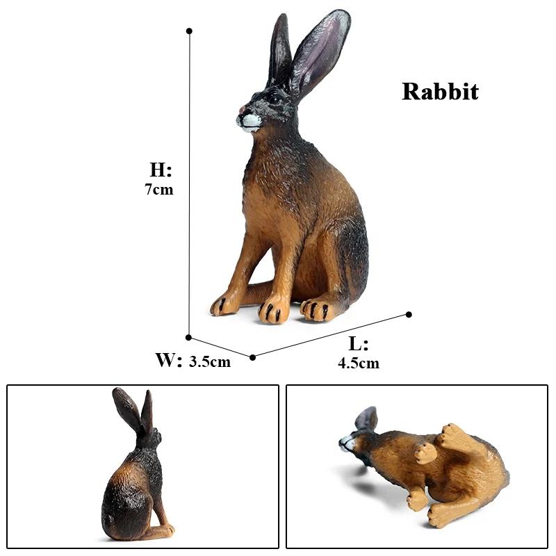 Oenux Lovely Farm Rabbit Bunny Model Action Figure Figurine Wild Desert Cottontail Hare Cute PVC Decoration Education Kid Toy