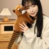 53 см Южноамериканский енот Кукла Имитация енота с длинным хвостом Плюшевая игрушка Подарки на день рождения и Рождество Идеально для детей