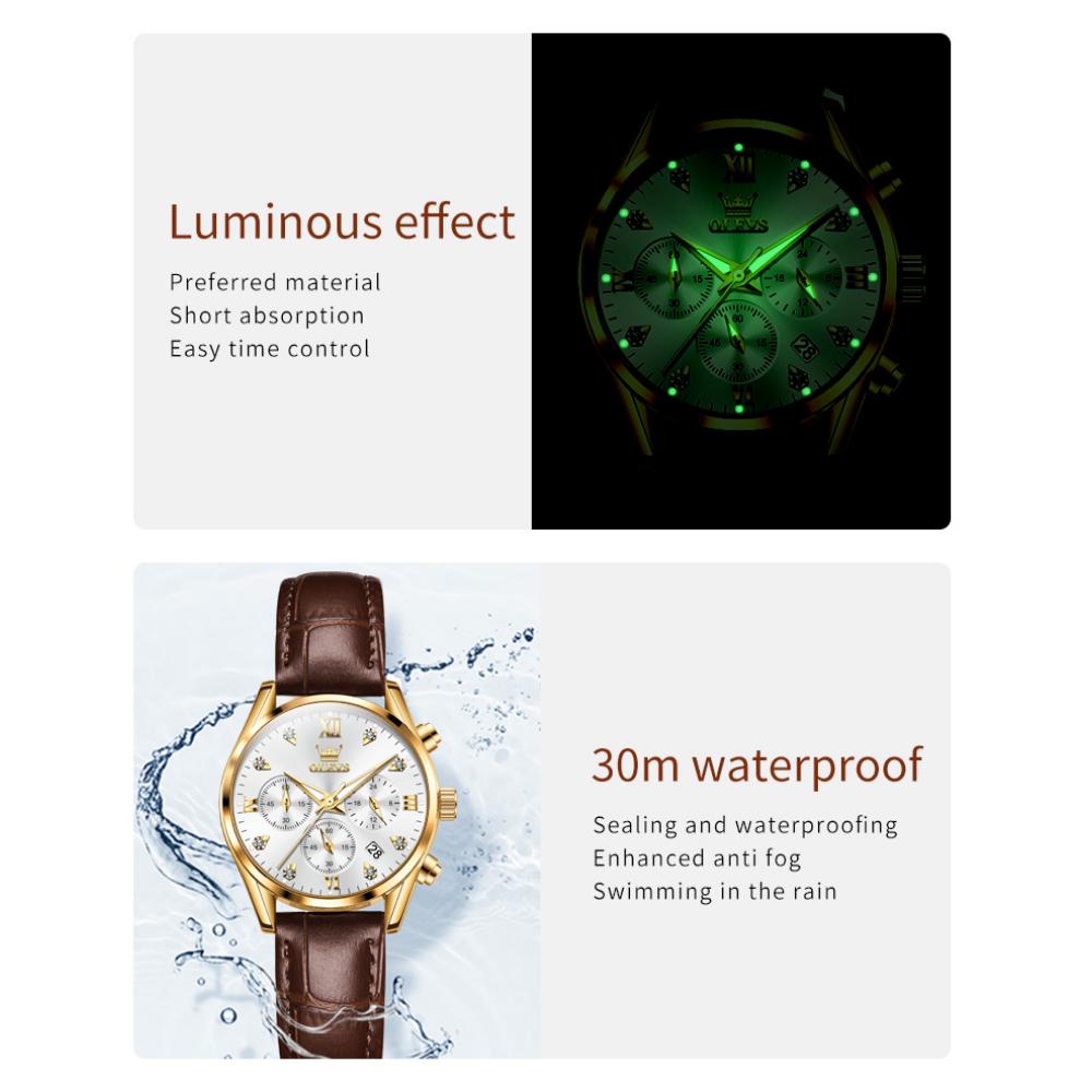 OLEVS New Watch Elegant Fashion Trend Waterproof Luminous Quartz Watch Women's Watch