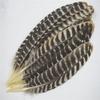 Real Natural Eagle Feathers 8-16"/20-40Cm Eagle Bird Feathers For Crafts Home Wedding Feathers Decoration Carnaval Assesoires