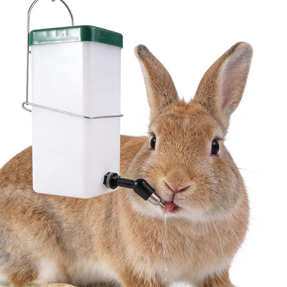 Automatic Pet Hanging Feeder Plastic Pet Head Pipe Fountain for Rabbits Guinea Pig Hamster
