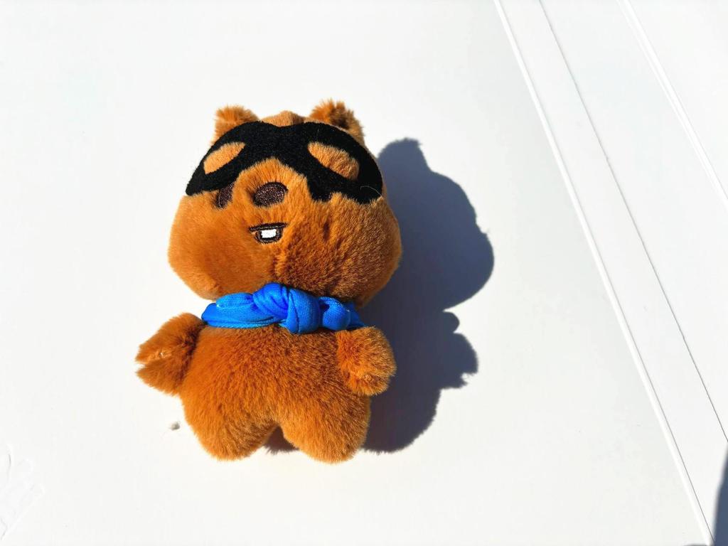 Брелок-кукла Ли Лунфу от Stray Kids PILOT5 FM Field Week