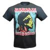 Мужская футболка Jimmy Hendrix Voodoo Child - Музыкальные футболки - ДЖИММИ Хендрикс - НОВАЯ