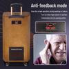 MALONE M-8510L Portable Karaoke Speaker with Dual Microphones CN plug (adapter included)