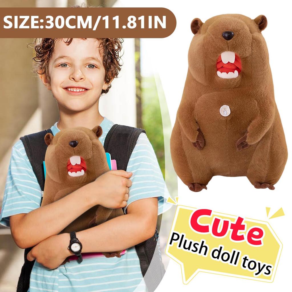 Plush Toys, Cute And Perfect Birthday Gifts For Friends And Classmates, Graduation Gifts
