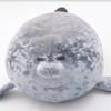 Очаровательные Плюшевые Игрушки Морской Котик 3D Новинка Подушки для Дивана Нежный Плюшевый Тюлень Набивные Плюшевые Игрушки Подушка для Празднования Новоселья Подарок
