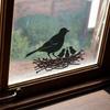 Bird's Nest Little Bird Bedroom Living Room Balcony Window Home Background Beautification Wall Stickers