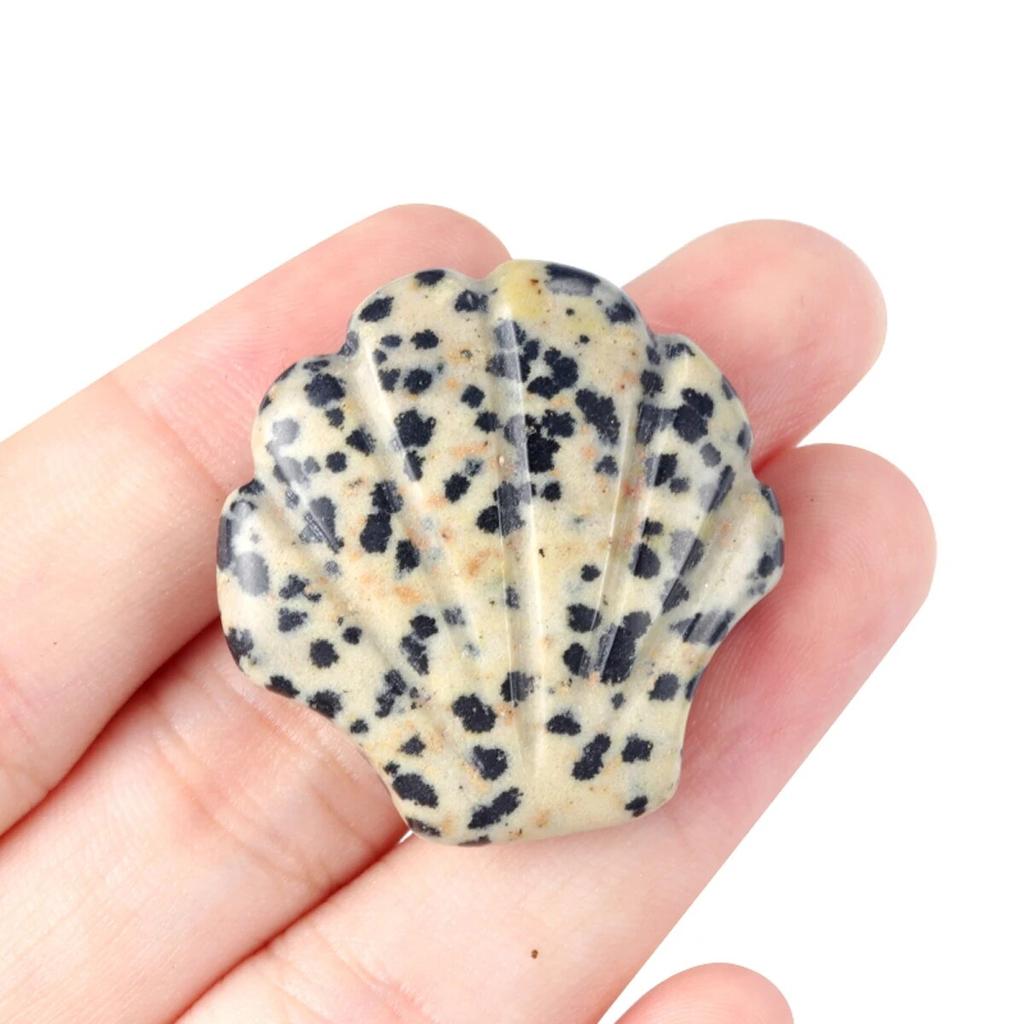 1Pcs Small Ornament Natural Stone Shell Without Hole Carved Decoration For Bedroom Desk Decoration Size 30 Mm