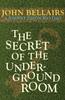 Книга The Secret of the Underground Room