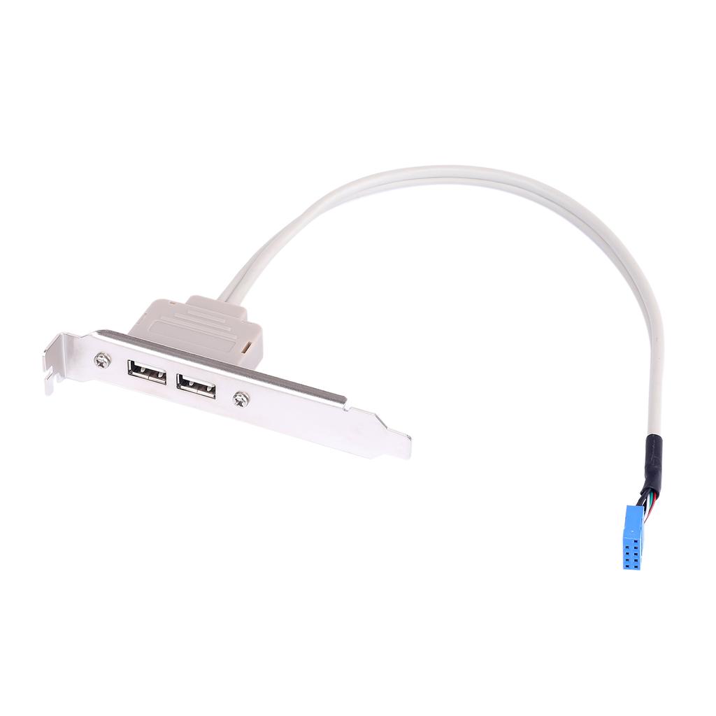 2 порта USB 2.0. Кронштейн расширения задней панели материнской платы до 9-контактного разъема. Кабель-адаптер. Расширитель.