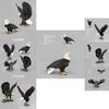Lifelike Pvc Animal Figurines Including Stunning White Head Eagle And Detailed Owl Designs