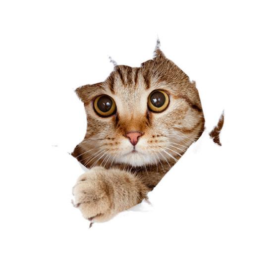 Автомобильные 3D забавные наклейки с изображением кошки или собаки, наклейки на тело, царапины, авто наклейки