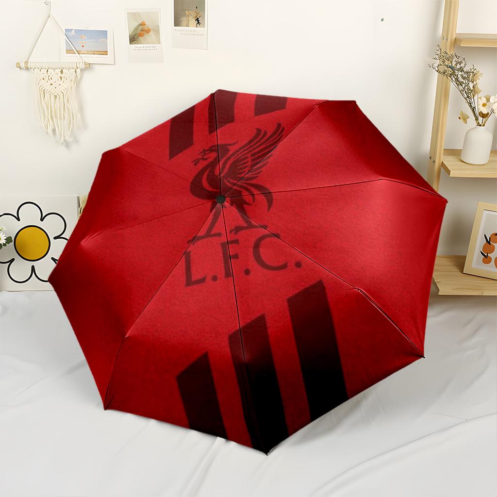 Liverpool Automatic Umbrella with 8-Rib Sturdy Construction All-Season Use Fashionable Spiritual Gift