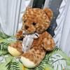 [USED] Teddy bear about 60cm