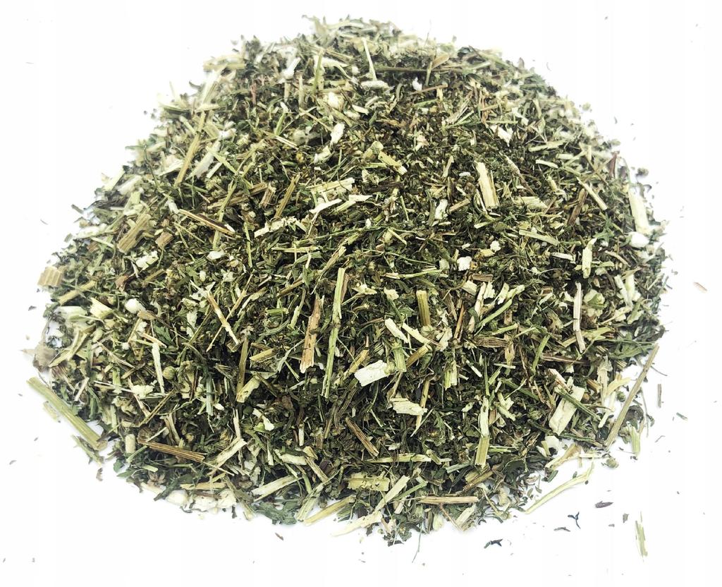 Annual Mugwood Herb 500 G 100%