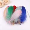 50Pcs13-20Cm Goose Feather Feather Diy Dream Catcher Wedding Jewelry Making Decorative Feather Crafts Needle And Thread