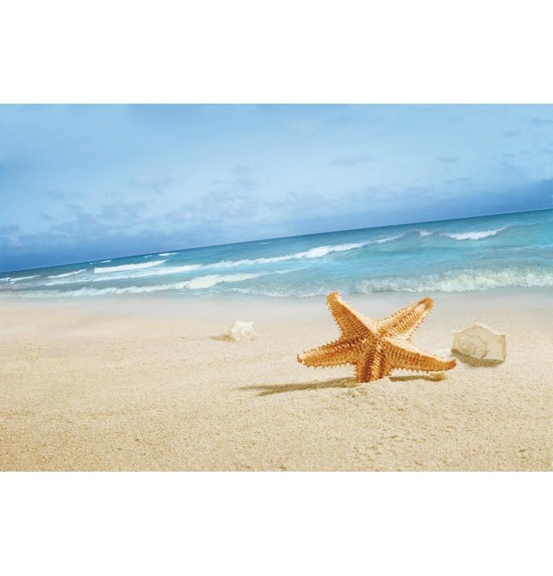 Tropical Beach Backdrop Decoration Seashell Starfish Summer Vacation For Pool Party Celebration Backgrounds For Photographs