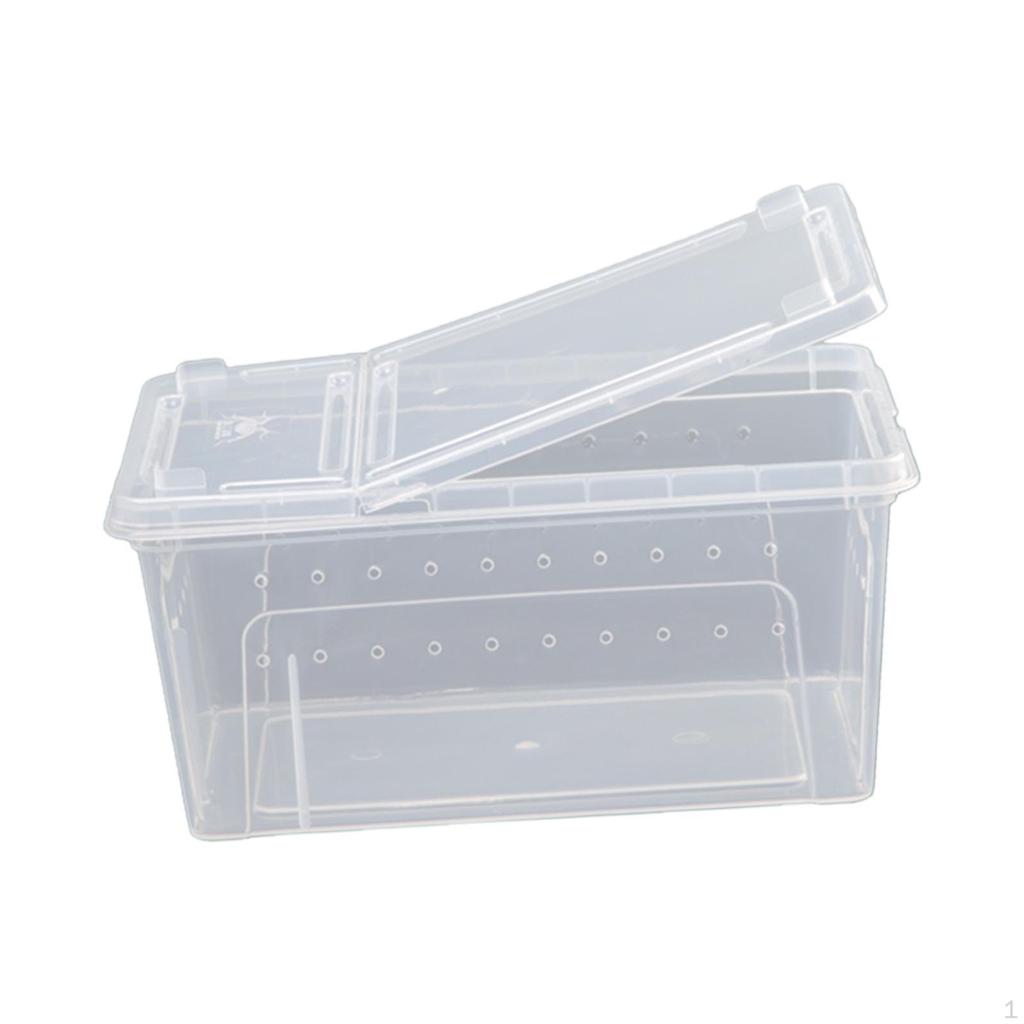 Reptile Breeding Box, Hatching Case, Terrarium Tank, Clear for Snake
