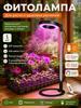 Phyto Lamp