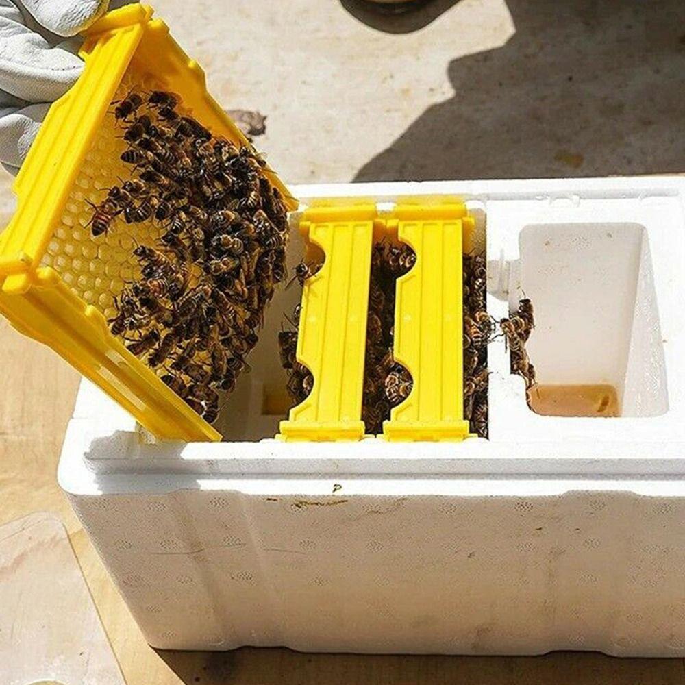 Foam Bee Hive Box Beekeeper Garden Pollination Box Box Bee Mating Box Bee Breeding Case