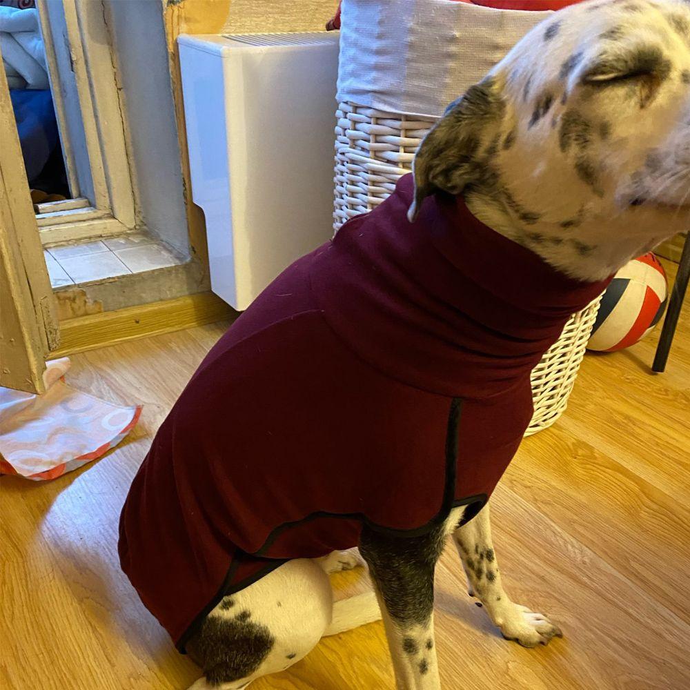 Собака Зимний свитер с высоким воротником для собак, пальто для больших собак, куртка для догов, борзых, питбулей, одежда для домашних животных