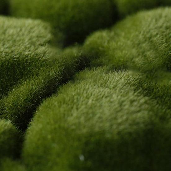 1 упаковка искусственных камней из мха, нечеткие, не увядающие, компактные, высококачественные, искусственные, покрытые мхом, камни для горшечных растений