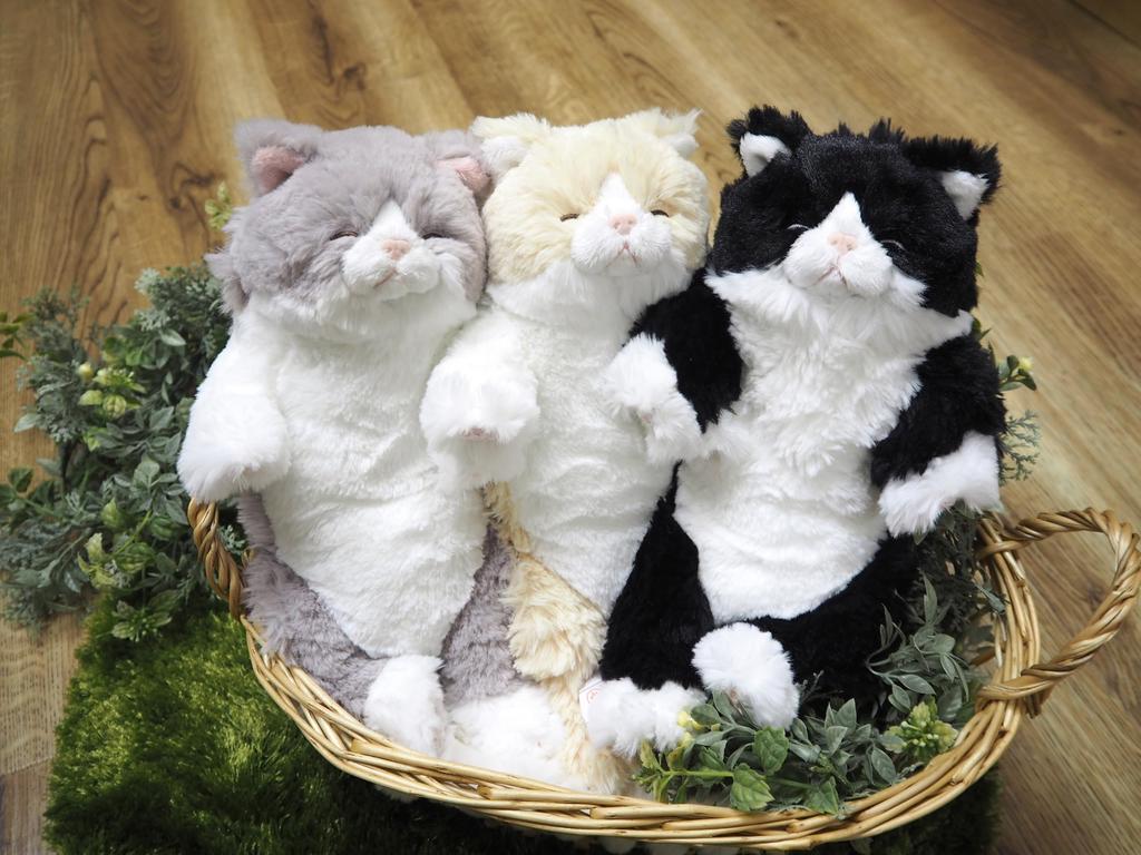 SunLemon Спящая кошка на коленях, Маленькая, Трехцветная, 15 x 18 x 34см, Плюшевая игрушка, Милая кошка, Белая и черная, P-1393