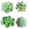 1Pc Artificial Succulent Plant Bonsai Stage Garden Home Party Desktop Decoration
