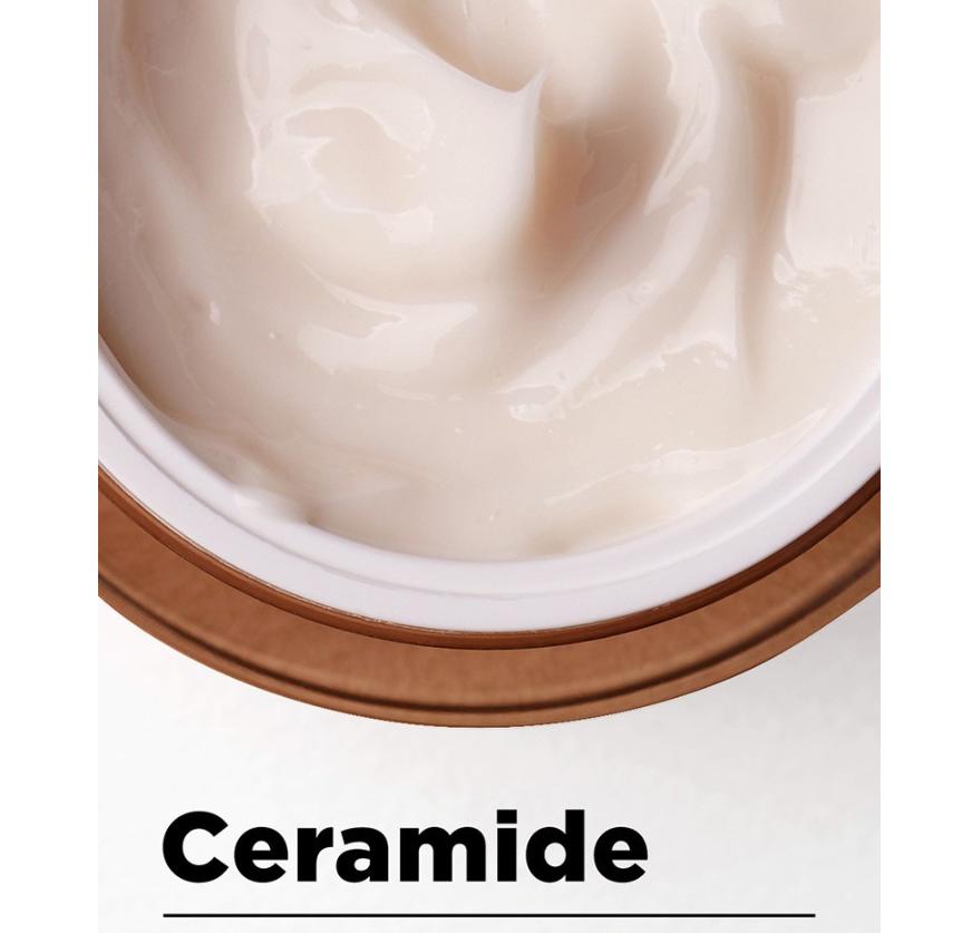 MANYO FACTORY Bifida Biome Concentrate Cream 50ml