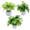 East Leaf Faux Greenery Artificial Mini Houseplants for Tabletop Decor, Monstera, Potos, and Ivy, Set of 3