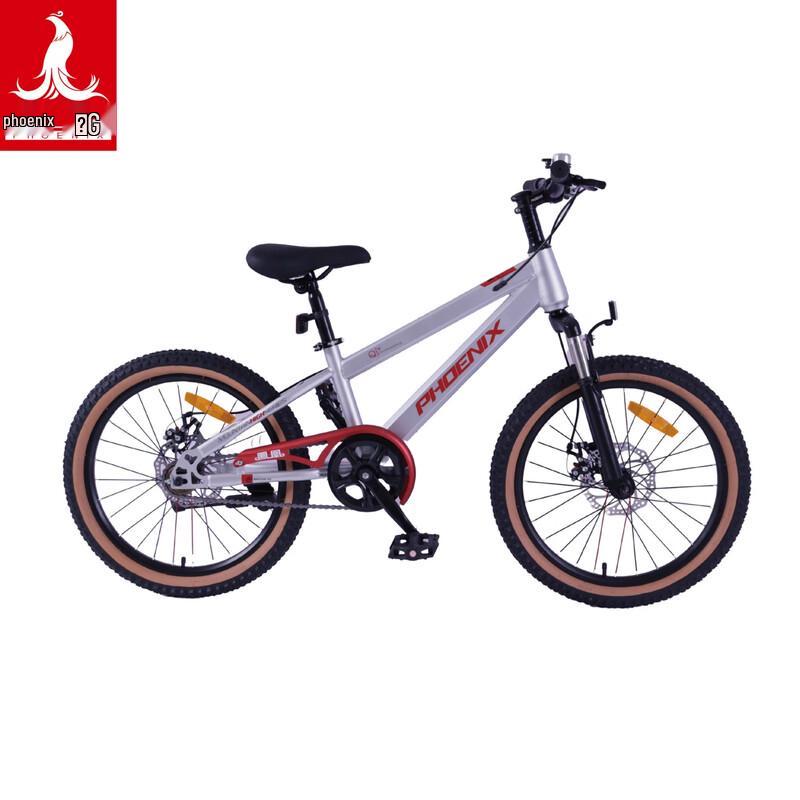 Phoenix TT-20plus 20-inch Student Mountain Bike