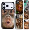 Чехол для телефона Орангутан Обезьяна Приматы Животное для iPhone 17 16 15 Pro Max Air 14 13 12 11 Plus Ударопрочный Capa Чехол