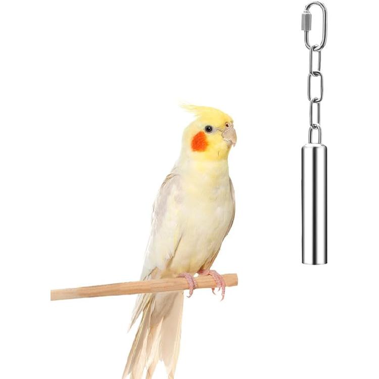Stainless Steel Bell Toy Bird Cage Hanging Bite Toy for Parrot Parakeet Budgie Cockatiel Conure African Greys (2 PCS-L)
