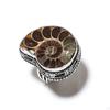 Ammonite Fossil Gemstone 925 Sterling Silver Gift Jewelry Ring Size 7