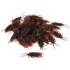 100Pcs Soft Material Fake Cockroach Lifelike Halloween Props Durable Trick Toys  April Fools Day