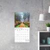 Wall Calendar 2025 In To the Woods Monthly Landscape Calendar Picture Style Calendar for New Year Gifts Stocking Stuffers Party